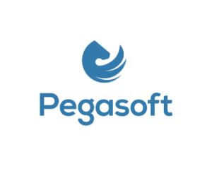 PEGASOFT